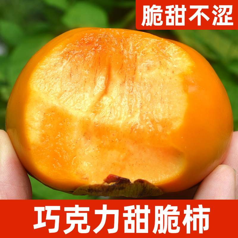 【脆甜不涩】广西桂林高山巧克力脆甜柿子硬柿子新鲜水果4.5-9斤
