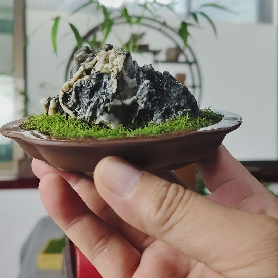 盆景，苔藓，风凌石