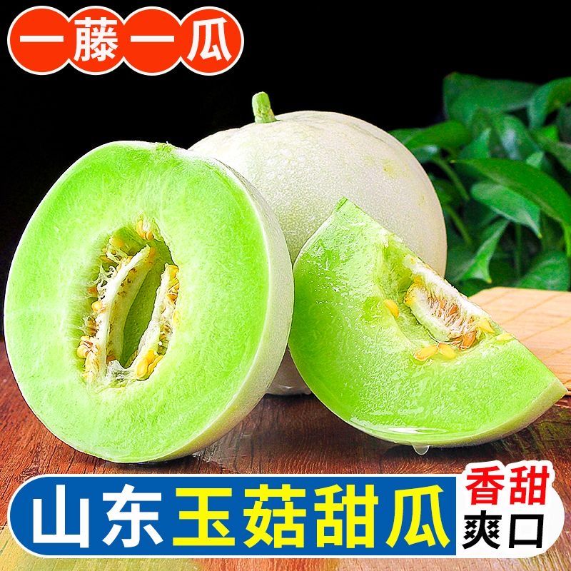 【山东玉菇甜瓜】X正宗冰淇淋香瓜脆甜香当季新鲜水果哈密瓜蜜瓜箱5