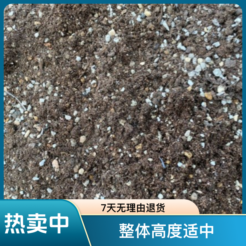 肉锥发根土 肉锥生石花专用