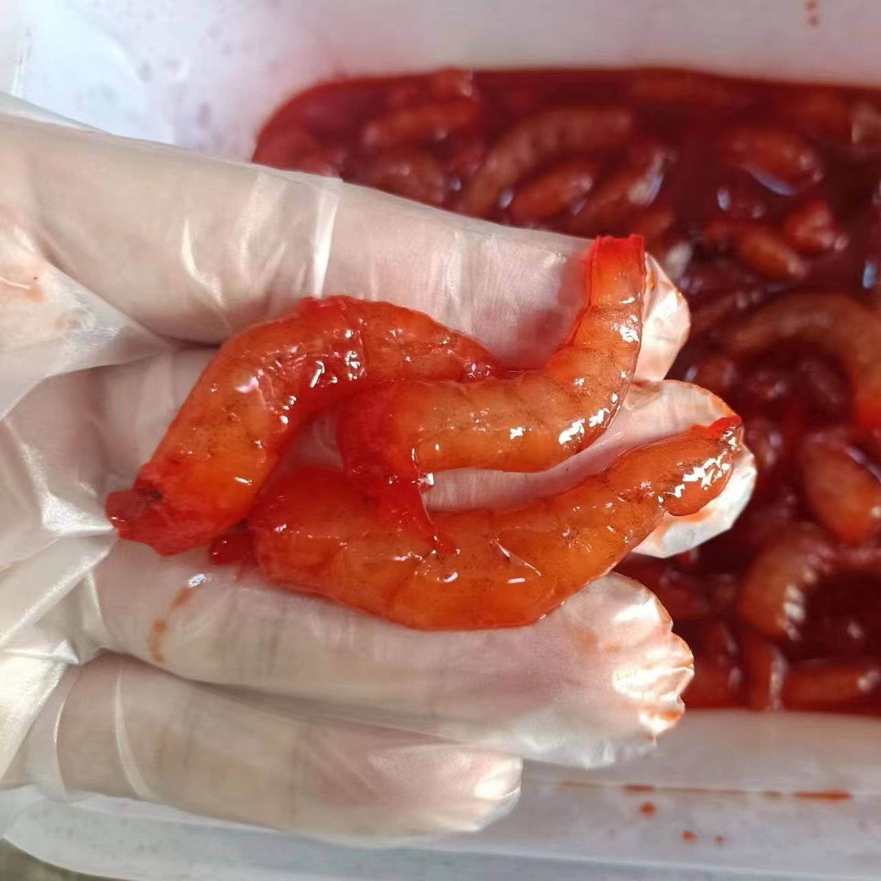 鱼饵海钓虾仁秘制虾仁海钓虾肉腌制海钓老三样