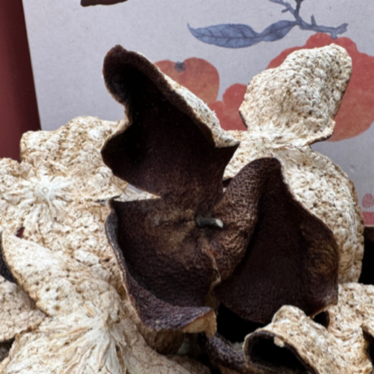 《2018梅江圈枝大红》新会陈皮纯干仓中年皮梅子香味香