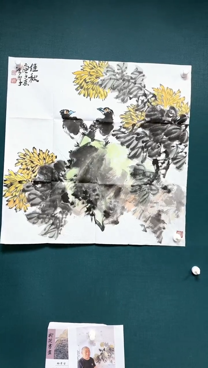 【闪购商品】绘画花鸟