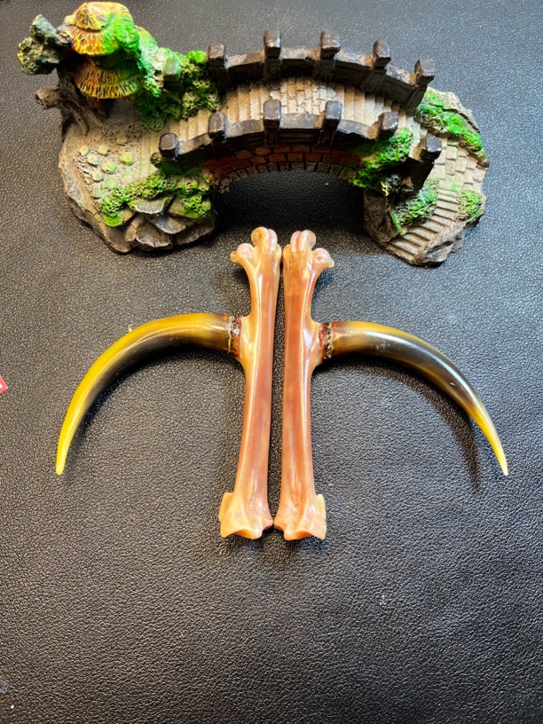 鸡爪骨手把件黄骨炫彩弯沟粗骨粗蹬