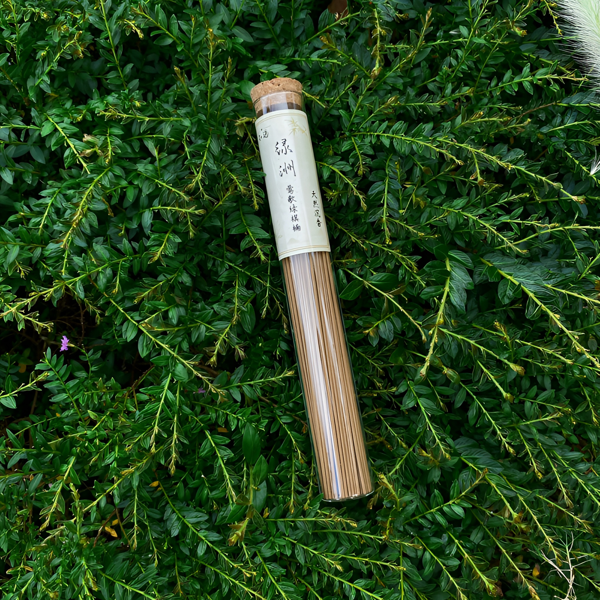 知遇【绿洲·莺歌绿棋楠】 2021年窖藏棋楠沉香线香拍一发2