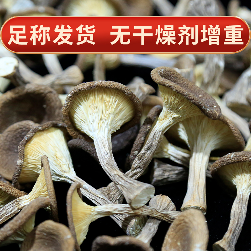 猪肚菇猪肚菌菌菇干货批发美味食材新鲜非鹿茸菇直发营养美食产地
