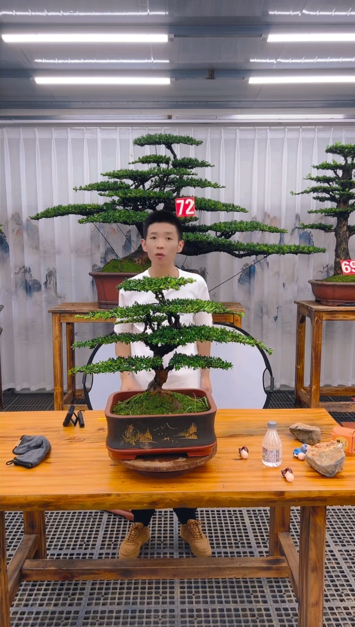 【闪购商品】紫砂精品盆景直播间一物一拍