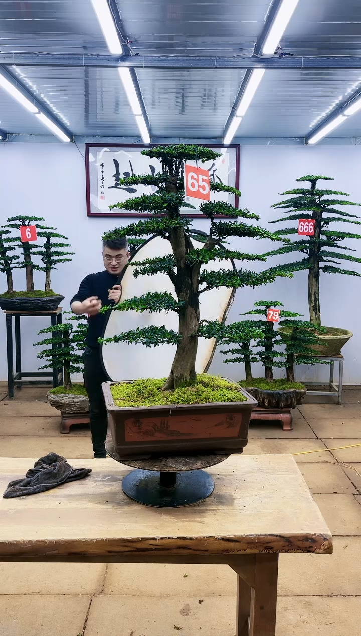 【闪购商品】一物一拍，所见即所得