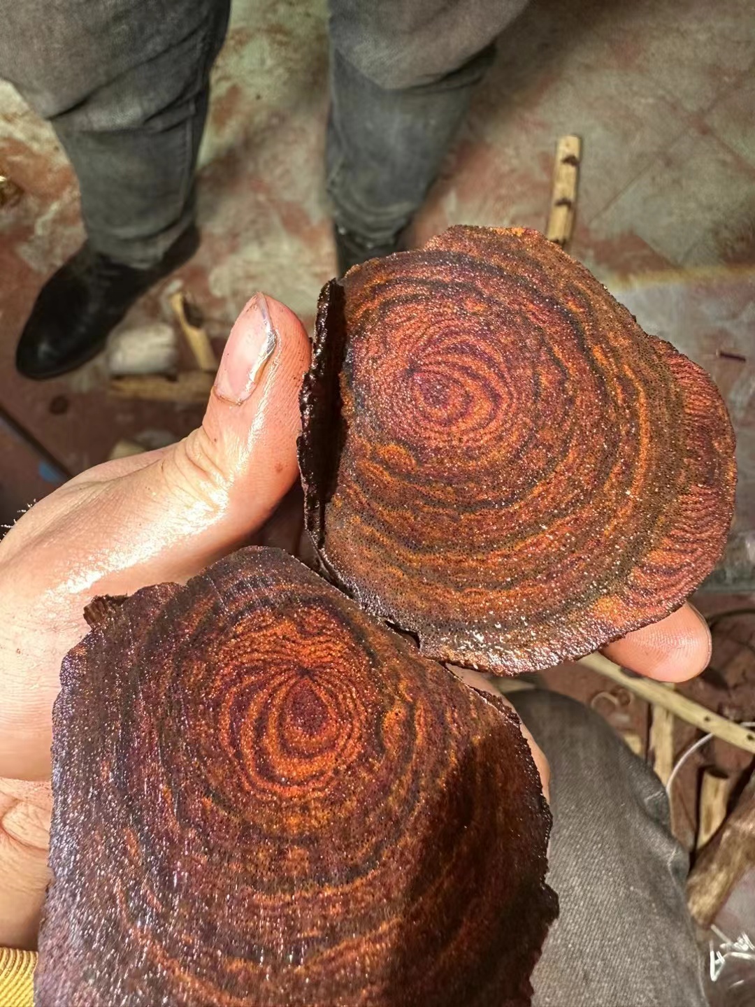 海南海皇油梨原料现场开料