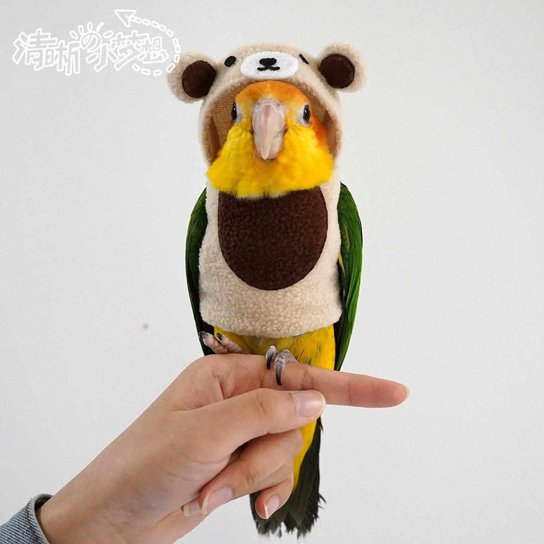 清晰小梦想宠物鹦鹉鸟衣服冬季加绒加厚保暖卫衣飞行棉服小熊造型
