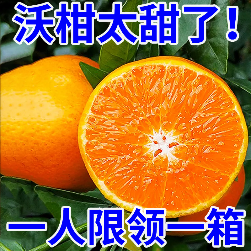 【产地直发】广西武鸣沃柑芦柑橘子橙子非砂糖橘粑粑柑新鲜蔬菜酸甜
