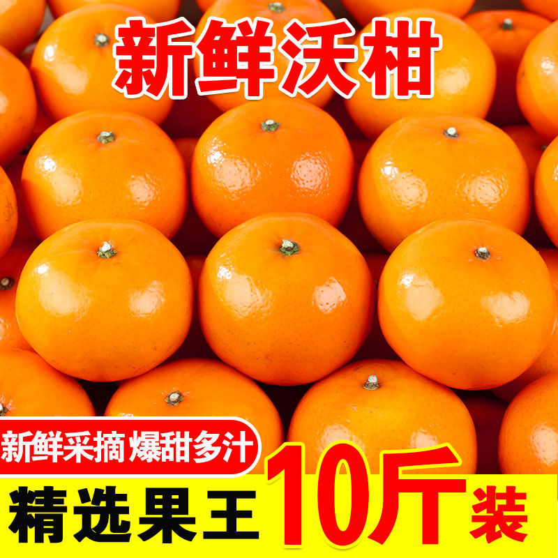 【现货速发】正宗广西武鸣沃柑芦柑橘子非砂糖橘丑橘粑粑柑蔬菜清甜