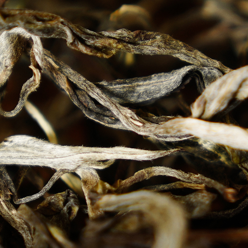 三家寨 普洱生茶龙珠 3颗（不支持拆开试喝）