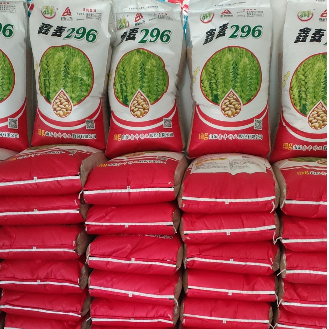 小麦粒食用小麦种子农家散装