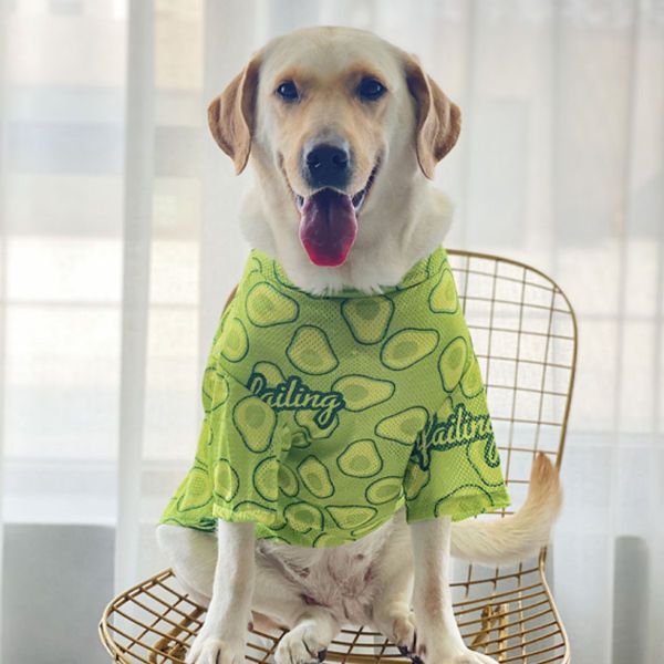 狗狗衣服大型犬薄款潮牌拉布拉多金毛夏衣服网红狗狗网眼透气衣服