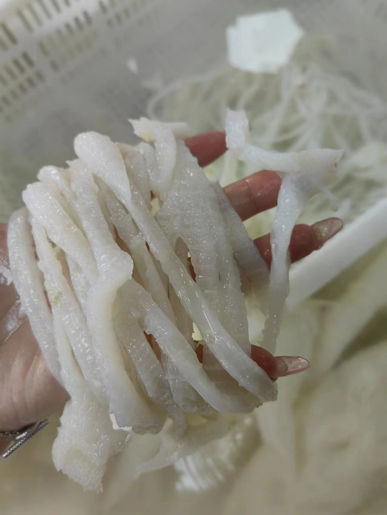 白千层毛肚丝500克