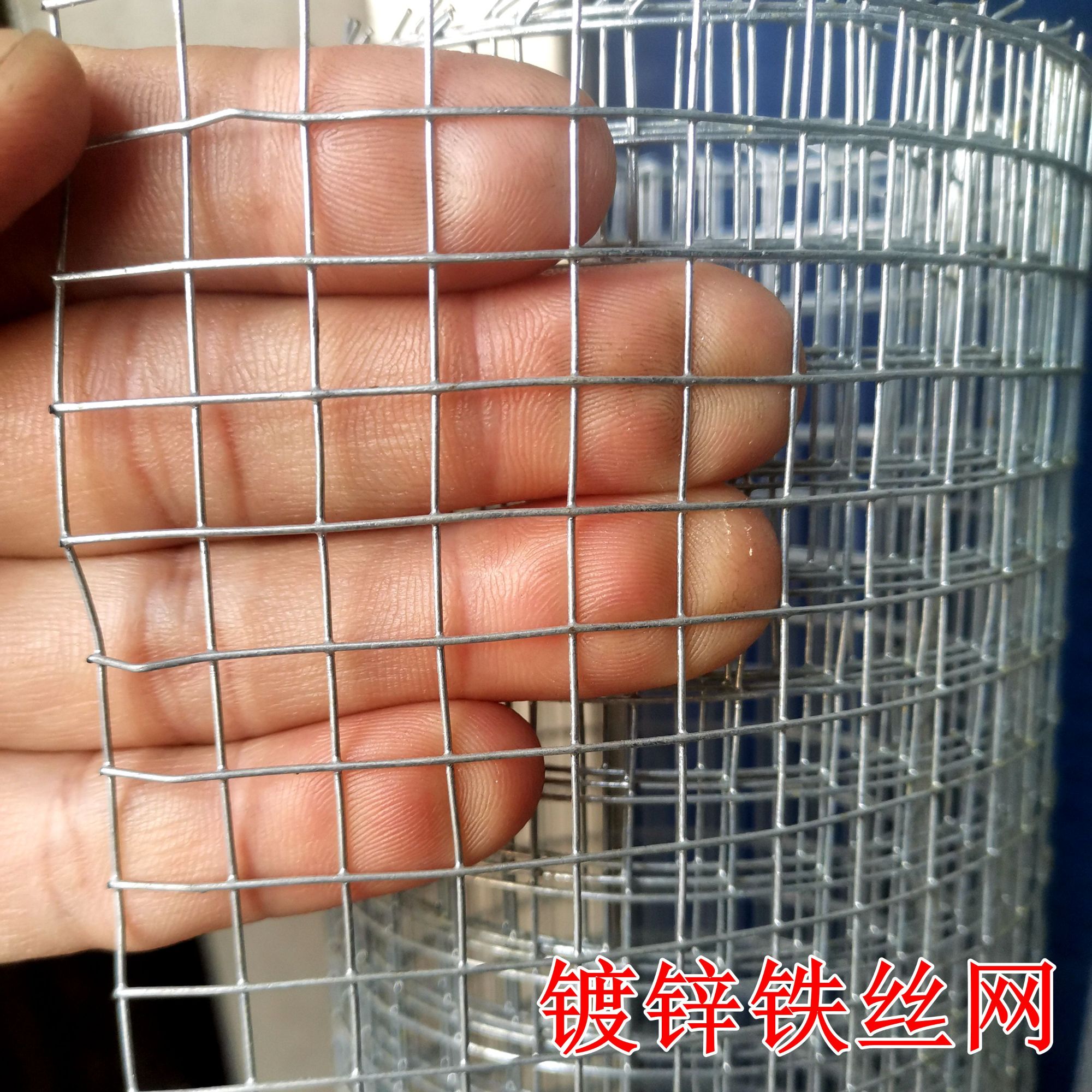 防猫网镀锌铁丝网防鼠网钢丝网鸽子笼子防护网多肉垫网封阳台窗户