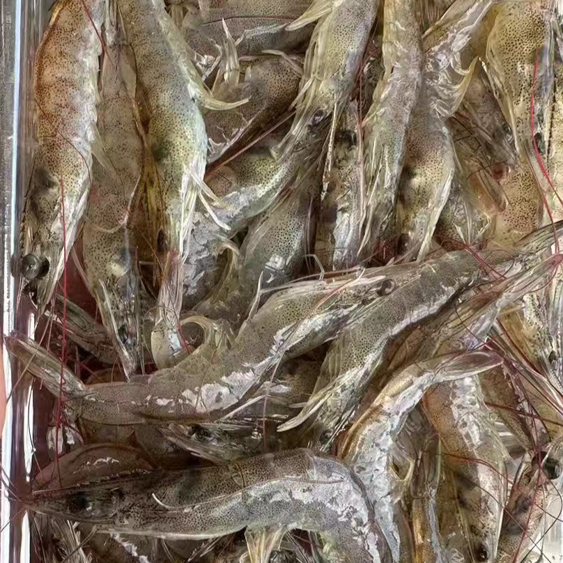 山珍海味特色红毛虾小米虾小白虾   到手3+1斤  