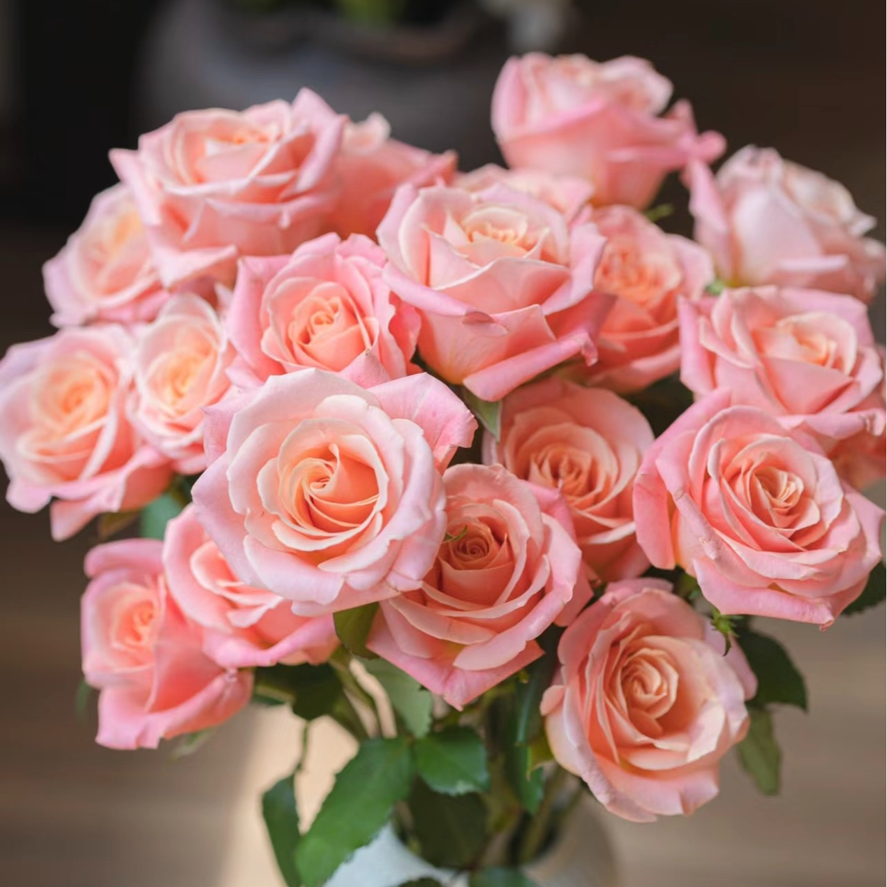 【朱小姐玫瑰】 全场任意三单升级空运可分开下单 云南基地直发