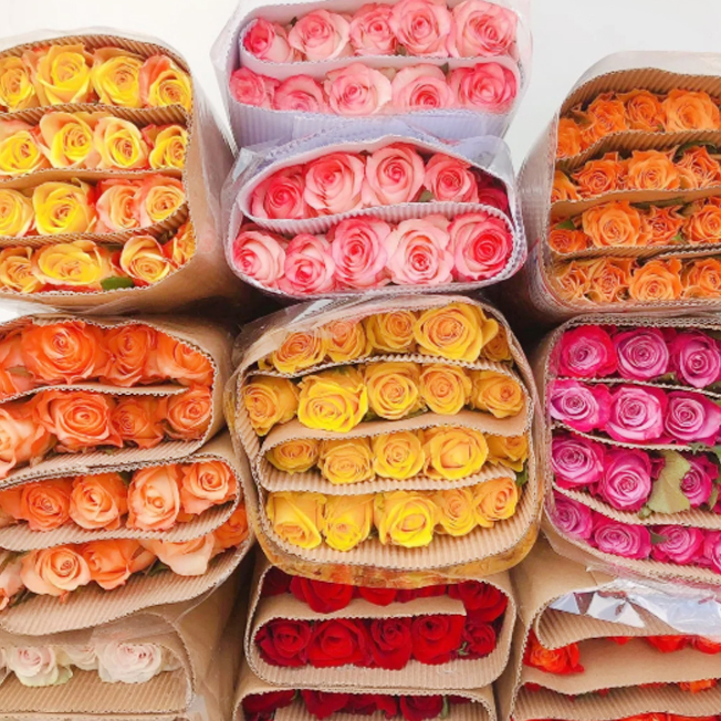 【不指定玫瑰10枝】一单中通不售后 任意鲜花两单升级空运