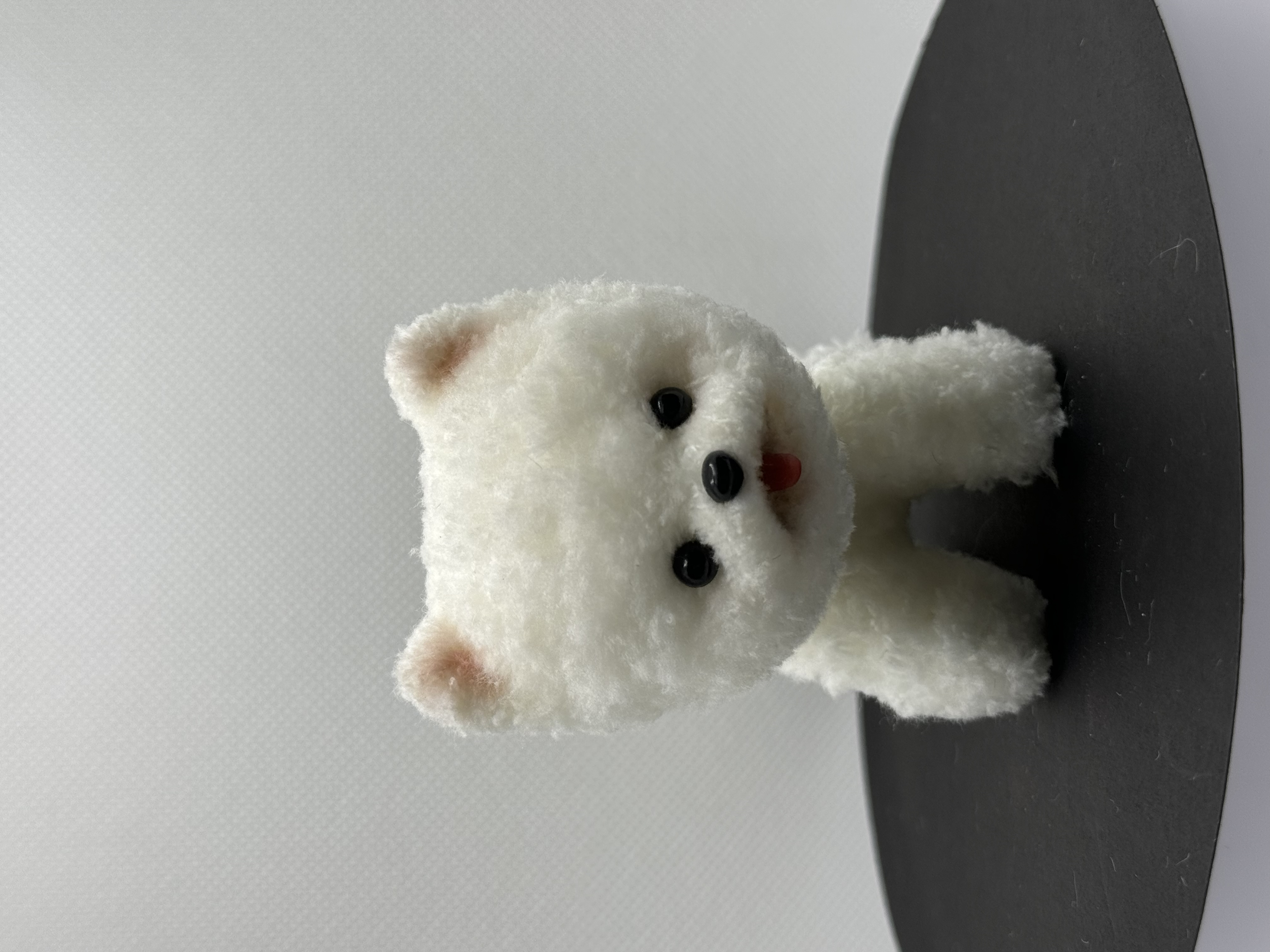 随机宠一只崽崽 具体已实物为准