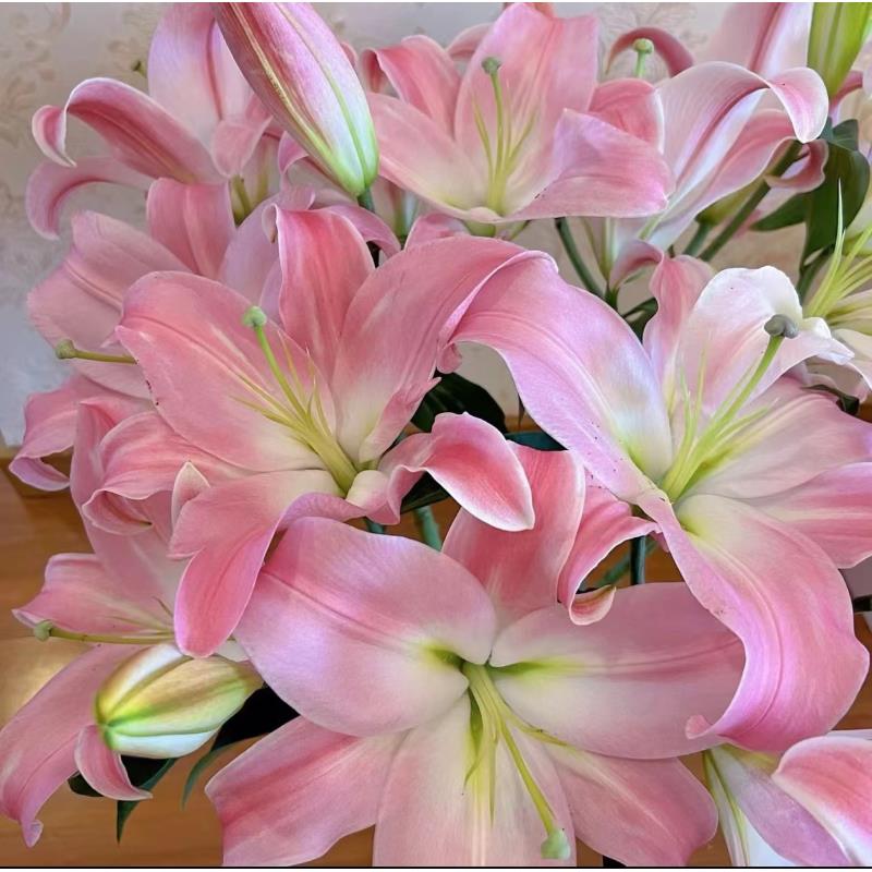 【鲜花坊甄选】高贵优雅圆舞曲百合基地直发