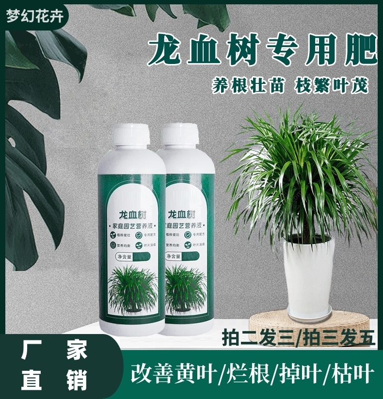 【龙血树专用】营养液园艺肥料绿植烂根促生根黄叶掉叶微量元素盆栽