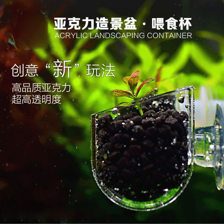 红线虫喂食器投食圈鱼缸红虫杯线虫杯高透明血虫喂食杯鱼缸造景杯