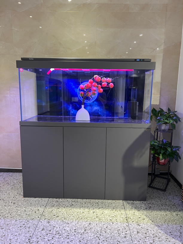 SUNSUN森森2025新款鱼缸客厅大型底过滤水族箱家用生态玻璃鱼缸落