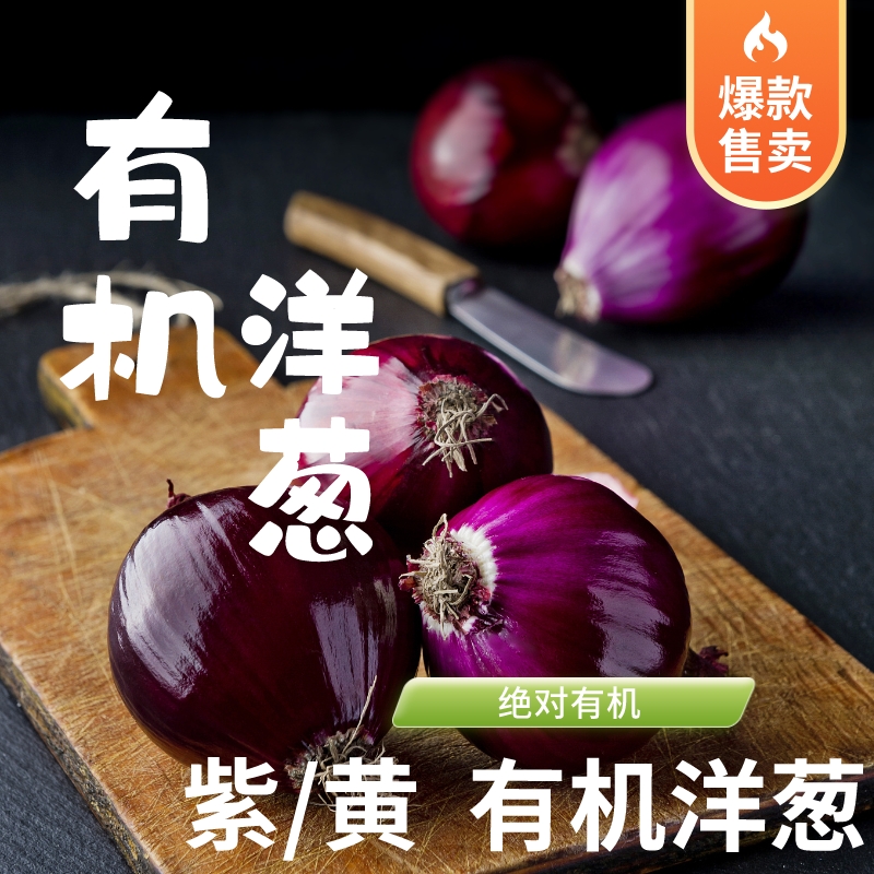 有机紫洋葱（内蒙古绿康源有机农场）