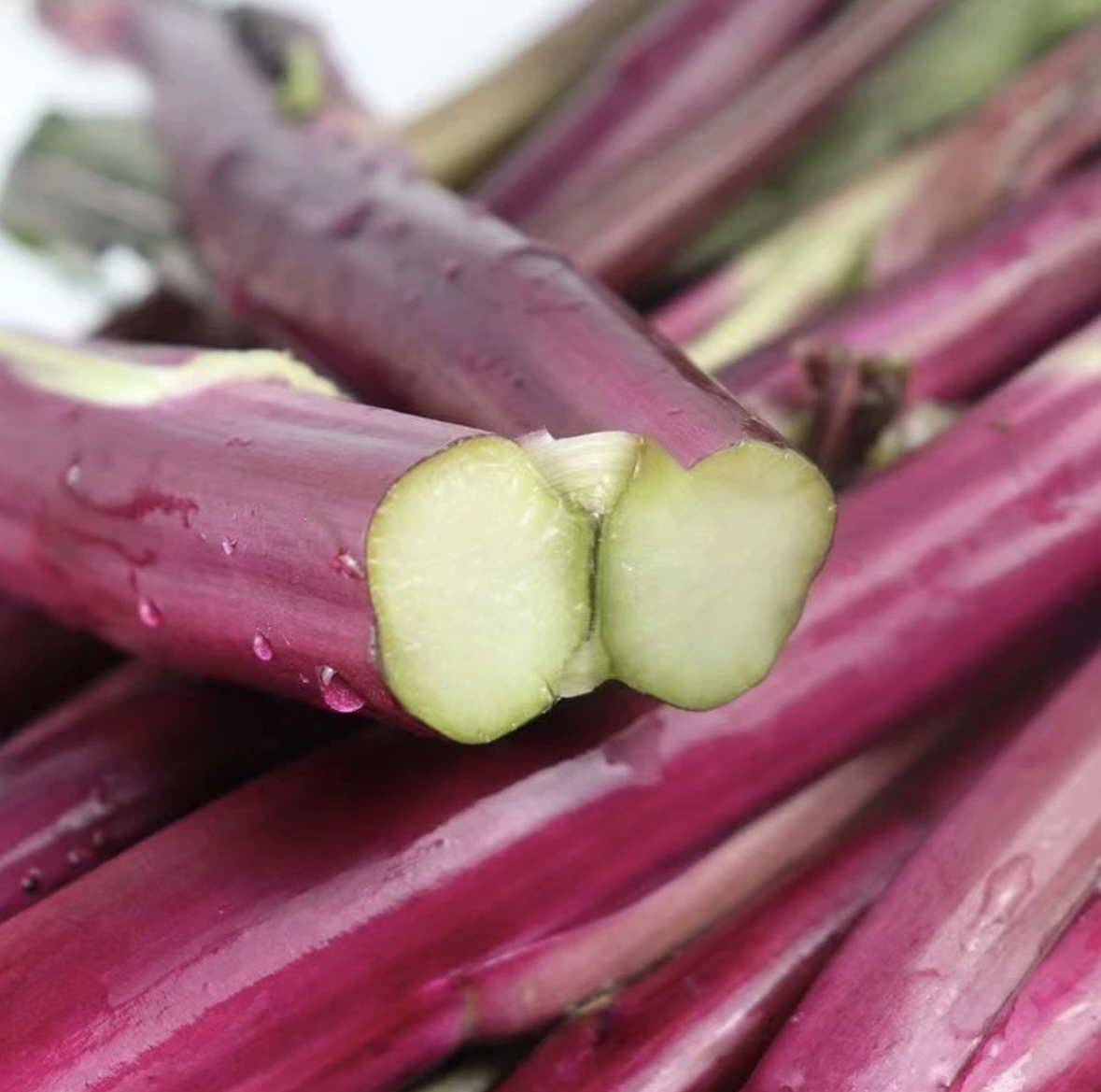 贵州高山农家露天红菜苔3斤包邮