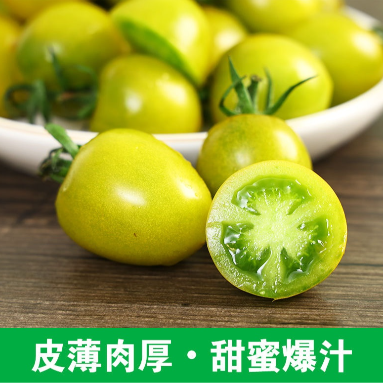 寿光新鲜现摘青甜圣女果小番茄1青甜2号（3-4斤）