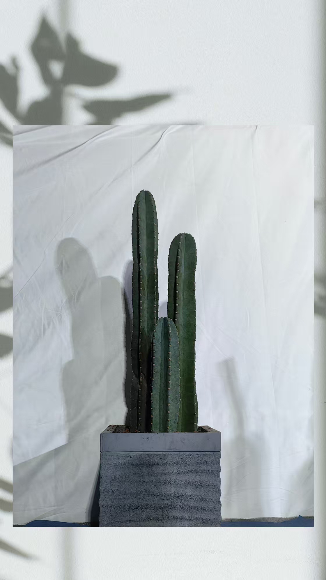 量天尺，一物一拍，一盆一链接，所见即所得。