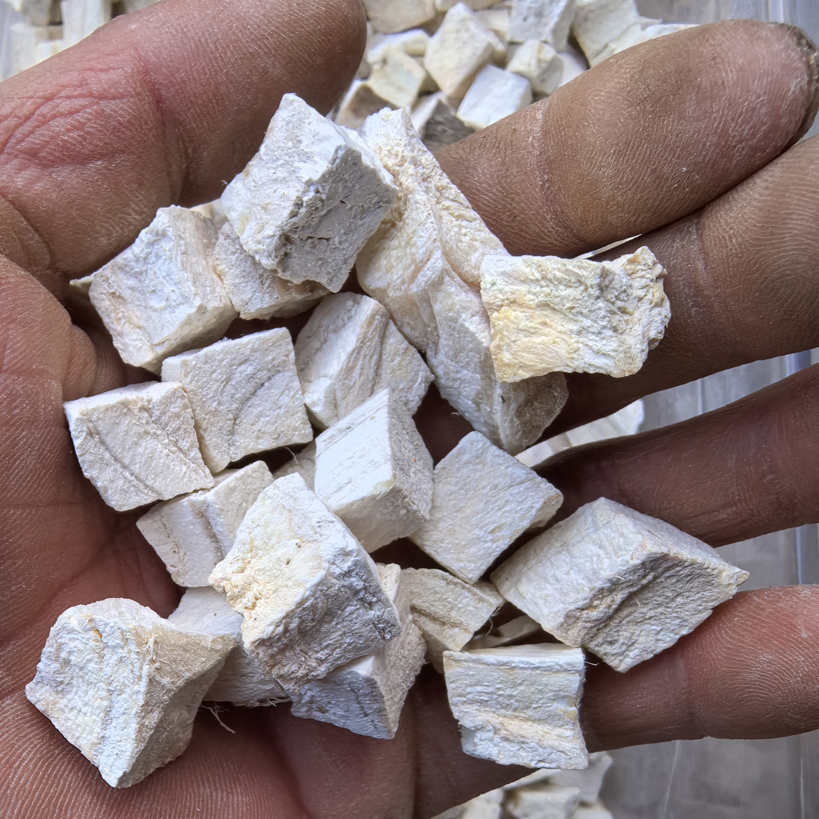 《野葛根》大山采挖葛根切块包邮