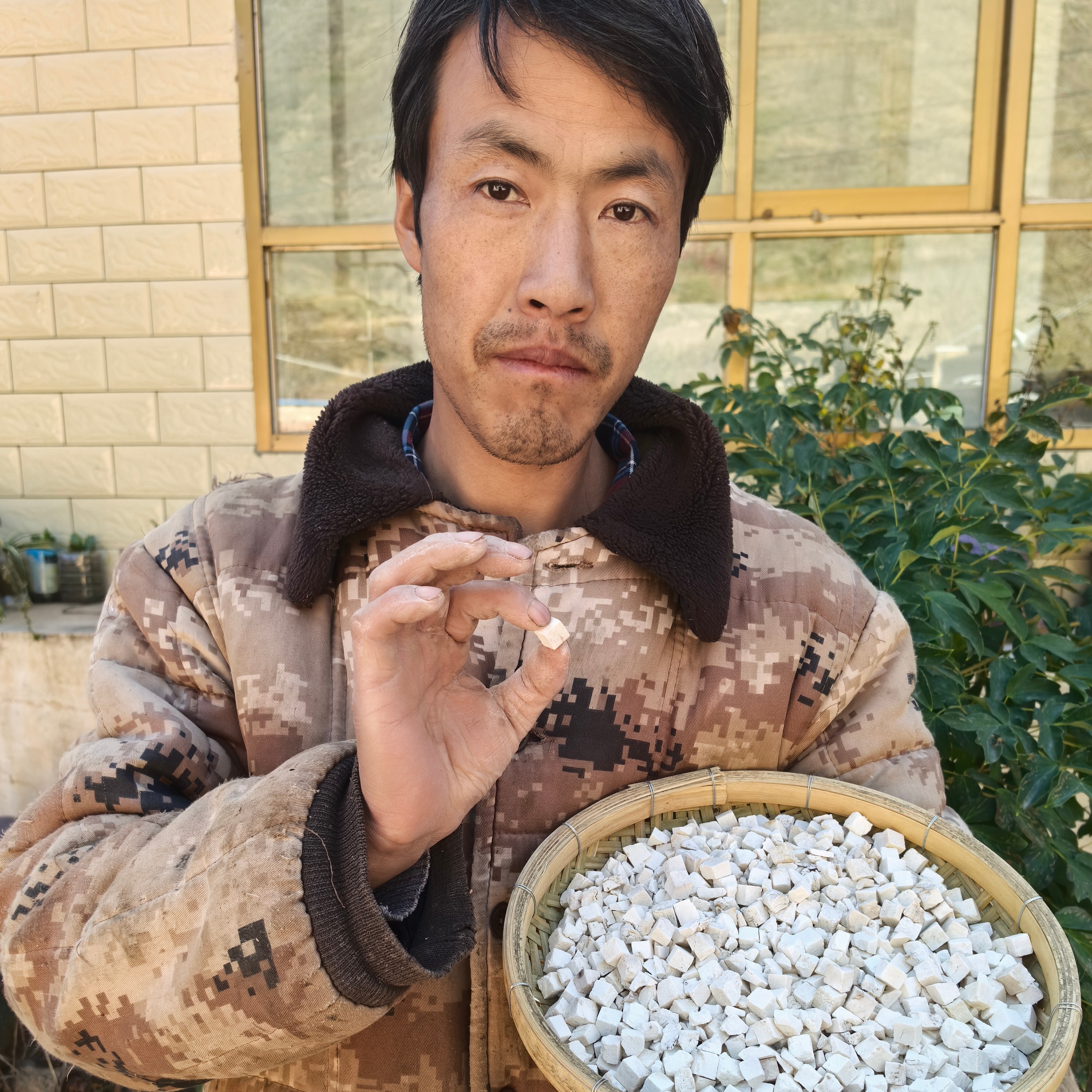 （野茯苓）野外采挖茯苓250g包邮