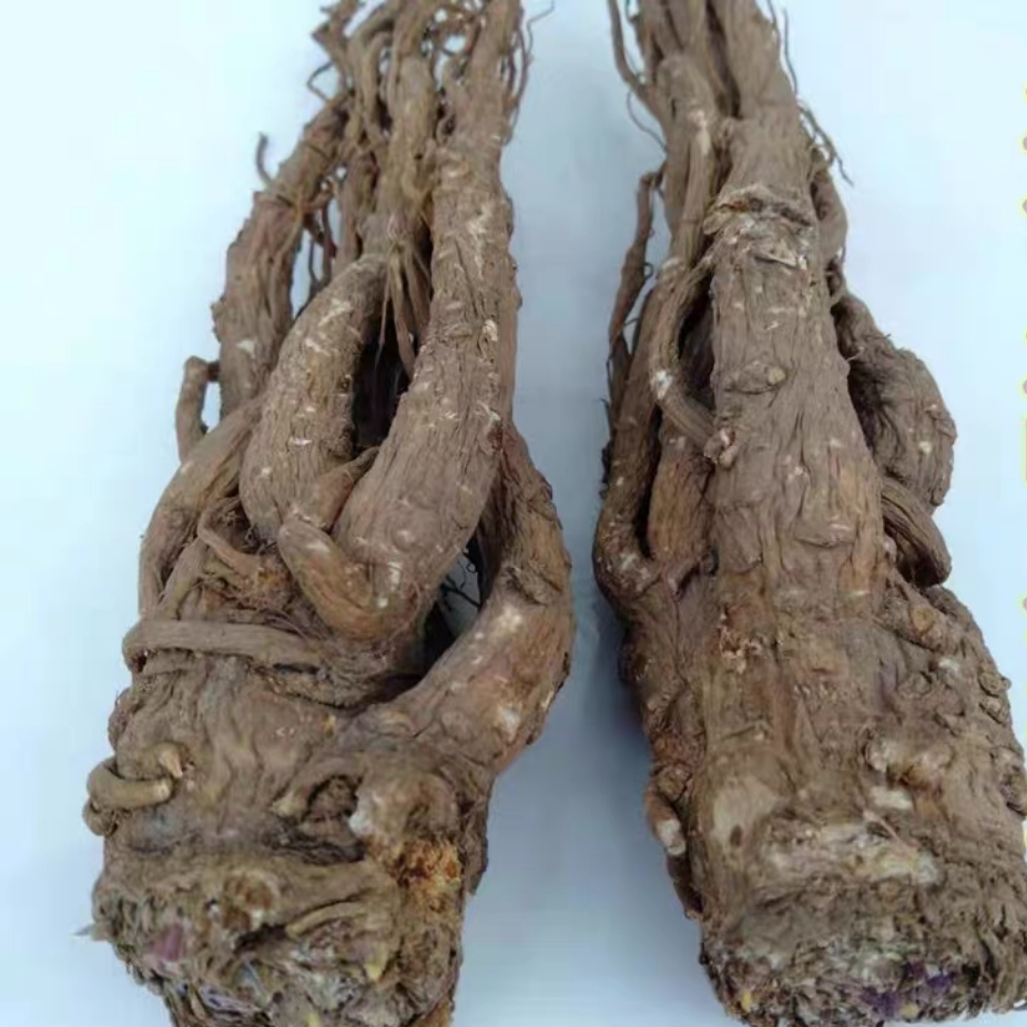 （甘肃当归）甘肃整条大当归250g包邮