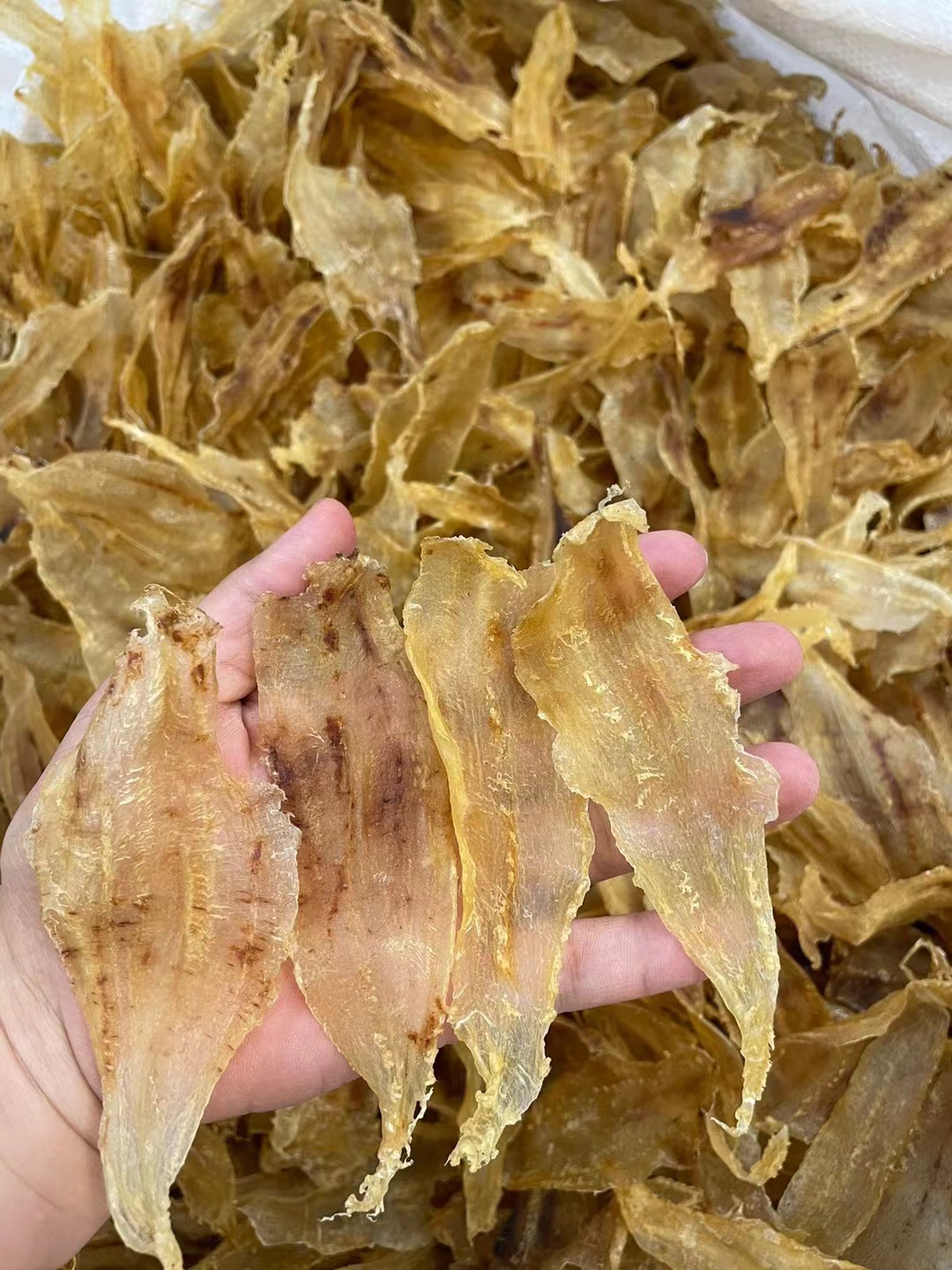 深海小土鳘片花胶鱼胶干货240头月子滋补品小土鳘鱼胶赤嘴类鱼漂