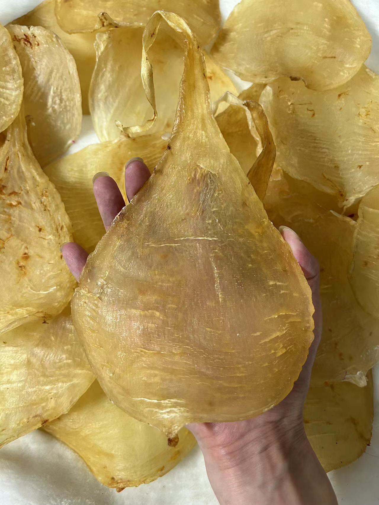 7.5头缅甸斗湖花胶鱼胶干货老腊足干缅甸斗湖鱼胶