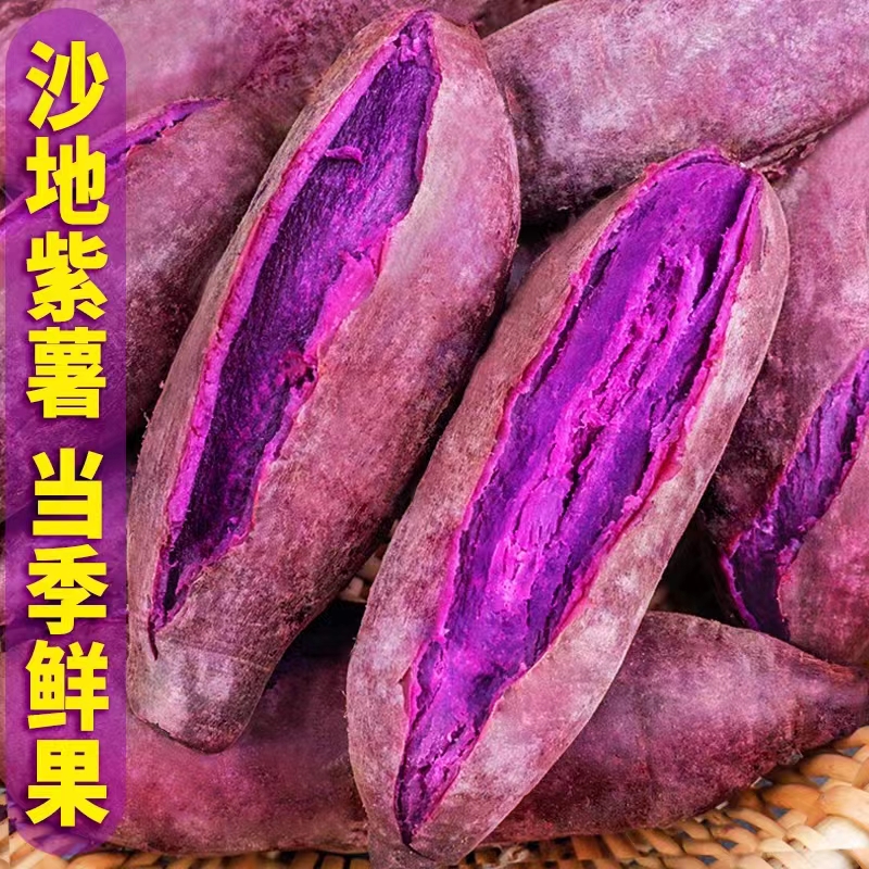 秀秀园长推荐新鲜现挖紫番薯农家沙地紫薯粉紫罗兰紫薯5斤包邮