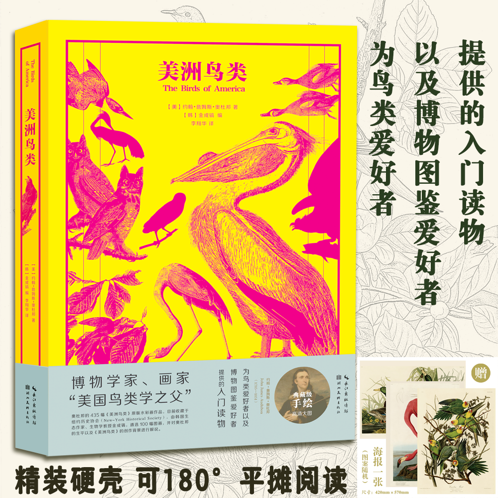 美洲鸟类-为鸟类爱好者以及博物图鉴爱好者提供