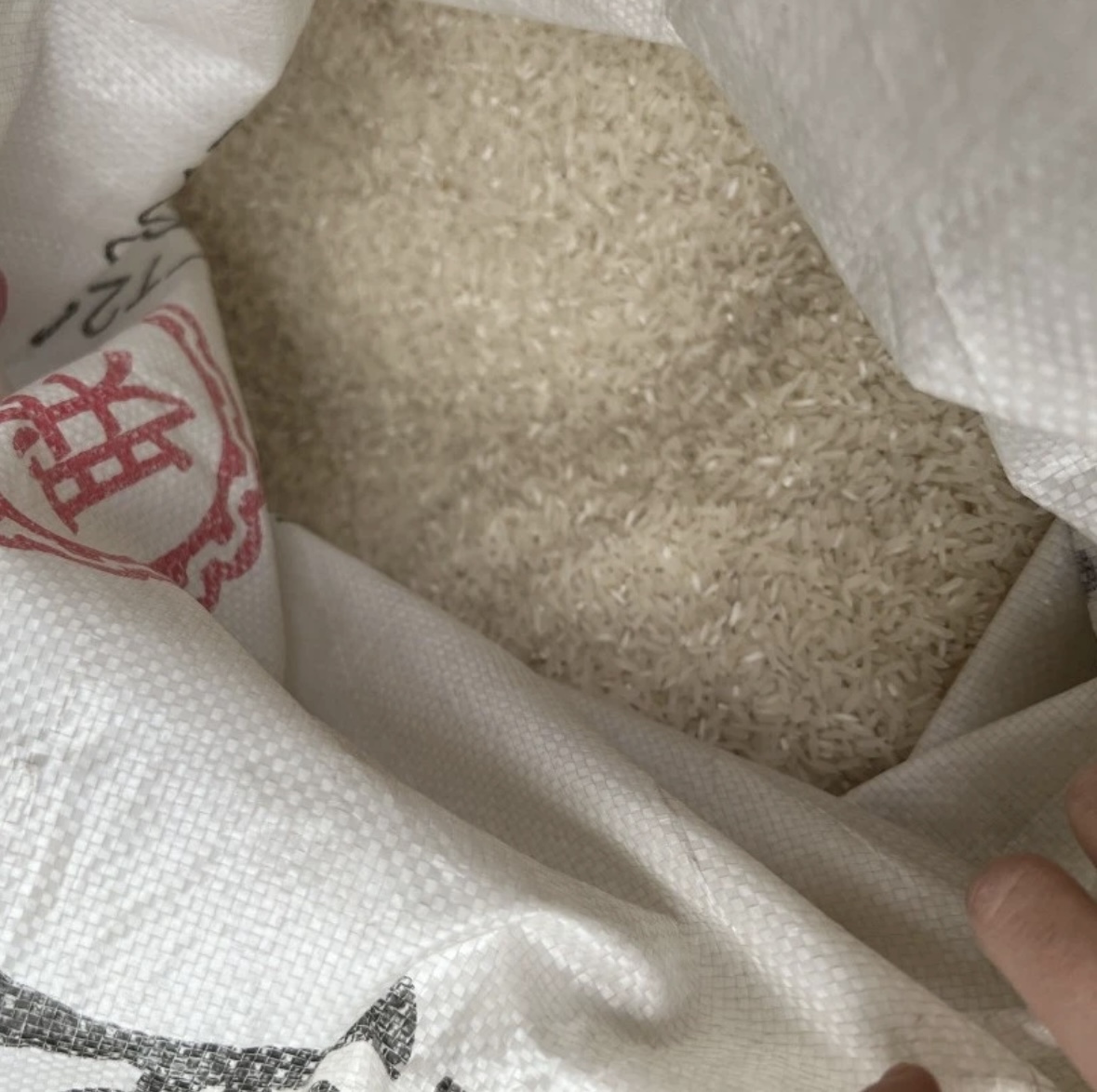 【到手一袋】有问题联系客服  非机械表