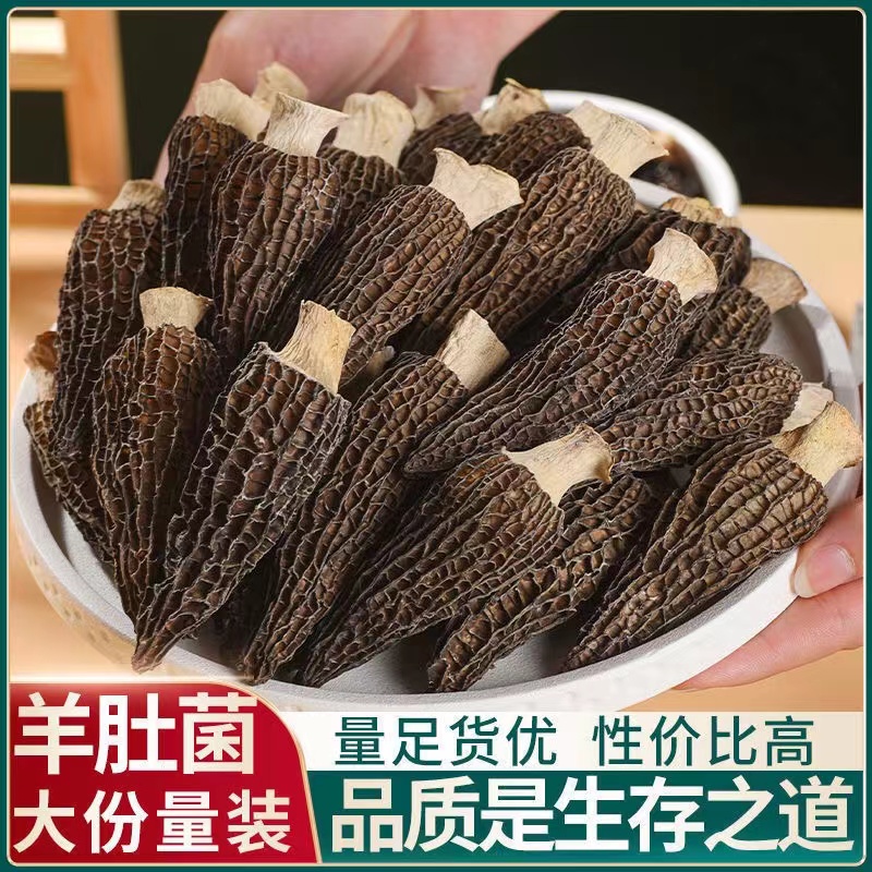 净重羊肚菌干货头茬新货浓郁野生菌菇羊肚箘新鲜精品菌类煲汤材料