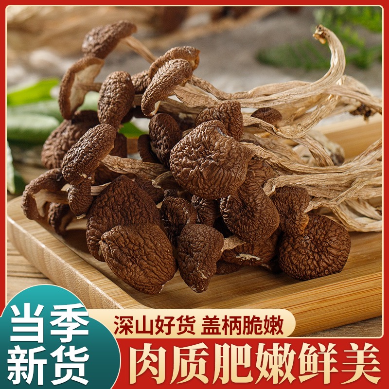 正宗茶树菇干货250g包邮自然生长一柄一菌个大肉厚鲜美可口味道醇