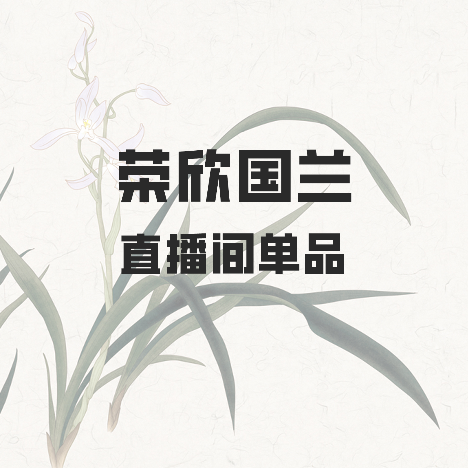 荣欣国兰-直播间单品