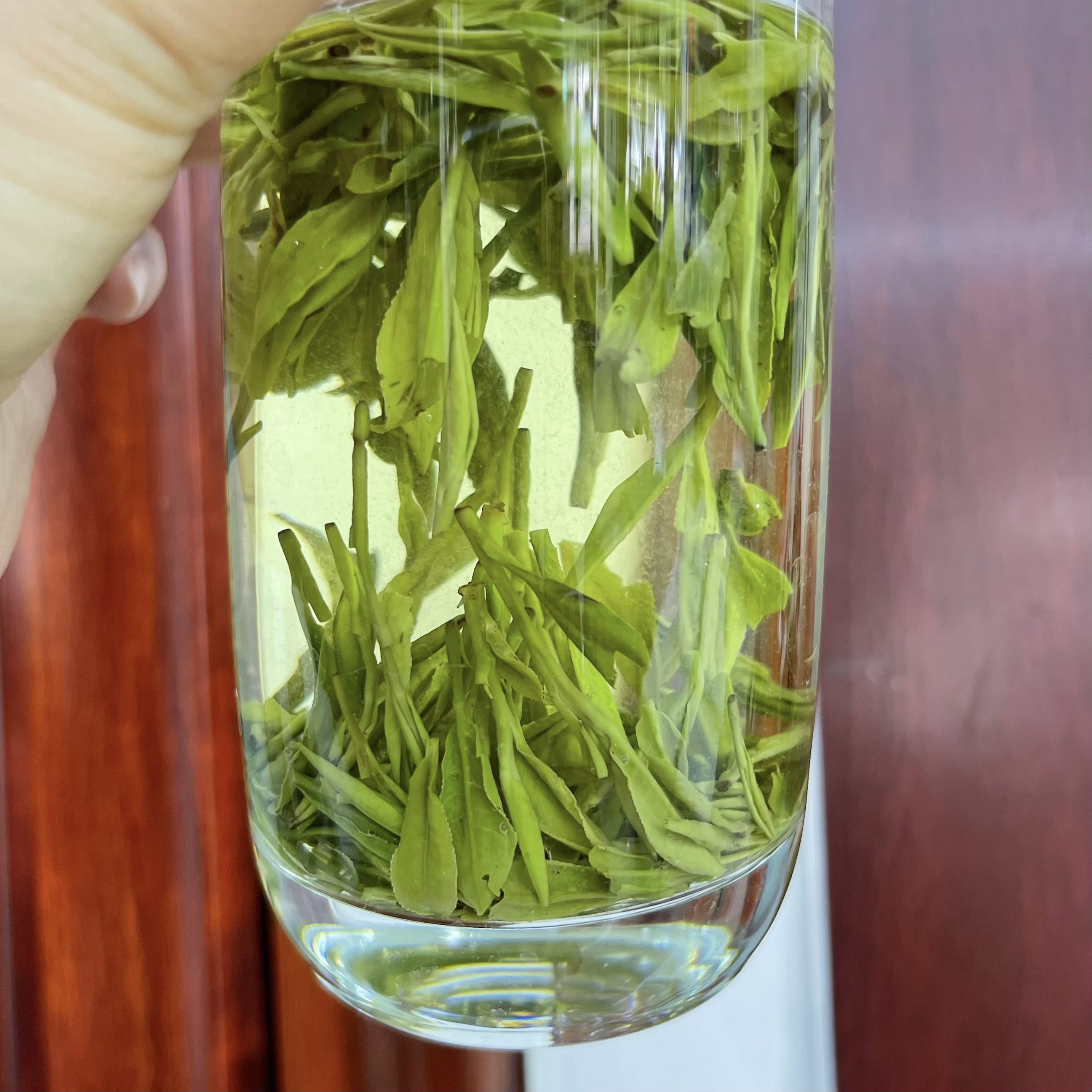 25年新茶【嵊州龙井】口粮浓香型高山茶