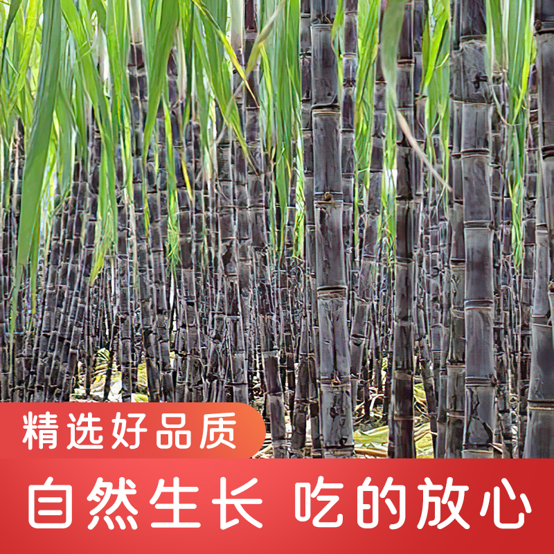广西农家种植新鲜黑皮水果甘蔗脆甜多汁爽口产地发货净重5斤9斤