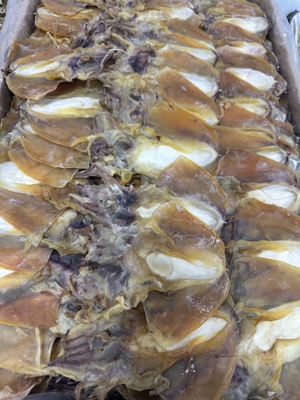 淡干墨鱼煲汤【中号】
