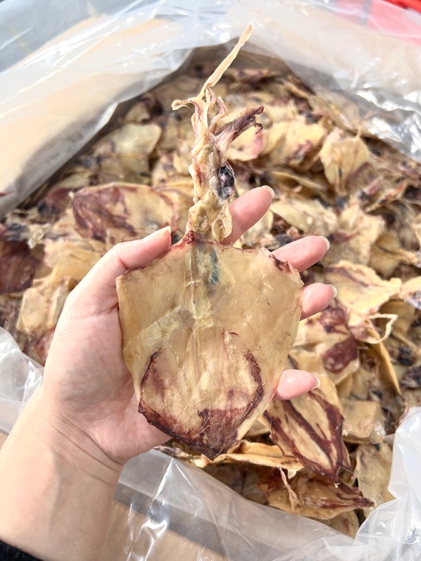 本地鱿鱼煲汤炒菜烧烤鱿鱼