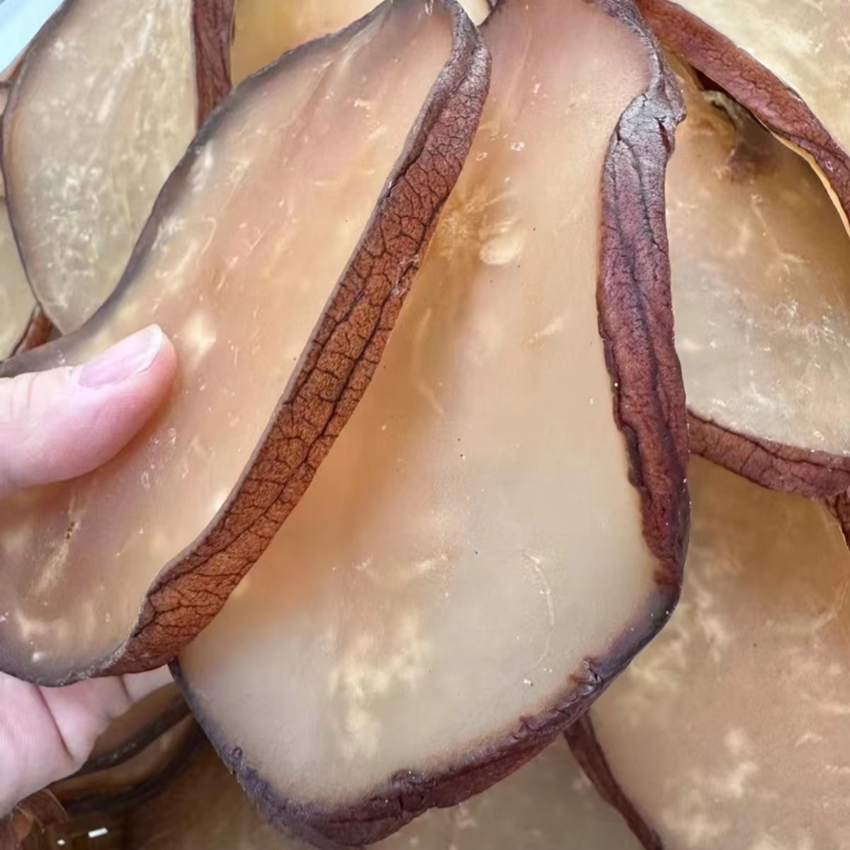 响螺片肉鲜嫩滑煲汤