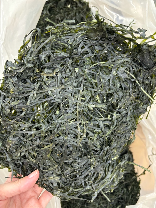 烘干海带干货海带丝圆饼凉拌炒辣椒打汤